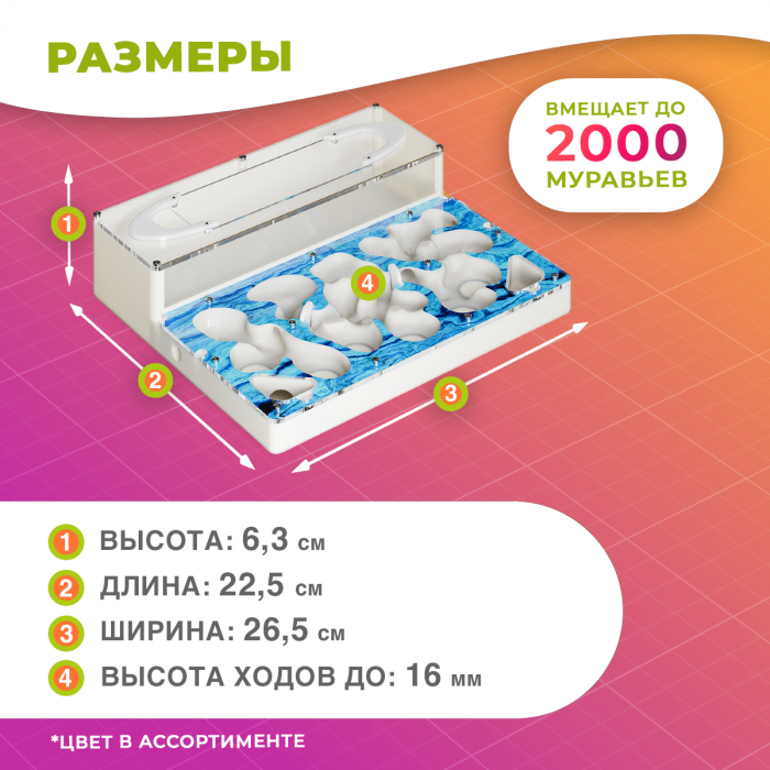 Научный набор с муравьиной фермой СТАНДАРТ Sand PRO "Аквамарин"